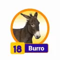2025-06-17 09:00 18 Burro