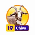 2025-07-30 12:00 19 Chivo