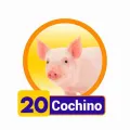 2025-03-15 19:00 20 Cochino