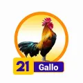 2026-01-27 16:00 21 Gallo