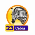 2025-06-13 12:00 23 Cebra