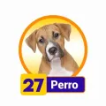 2026-03-21 15:00 27 Perro