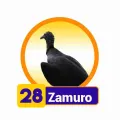 2025-08-06 19:00 28 Zamuro