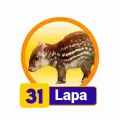 2025-06-13 15:00 31 Lapa