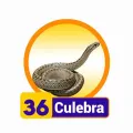 2026-02-02 10:00 36 Culebra