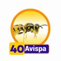 2025-06-14 10:00 40 Avispa