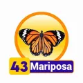 2025-03-16 12:00 43 Mariposa