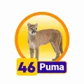 Resultado 46 Puma de Condor Gana el 2026-08-03 a las 16:00