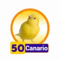 2025-09-12 15:00 50 Canario
