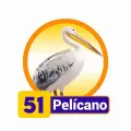 2025-06-14 09:00 51 Pelicano