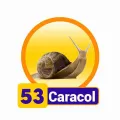 2025-06-13 09:00 53 Caracol