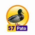 Resultado 57 Pato de Condor Gana el 2026-08-04 a las 09:00