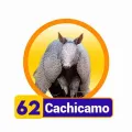 2025-08-06 17:00 62 Cachicamo