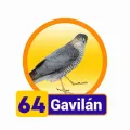 2025-03-16 11:00 64 Gavilan