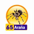 Resultado 65 Araña de Condor Gana el 2026-06-19 a las 17:00