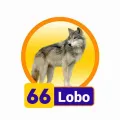 2025-03-15 13:00 66 Lobo