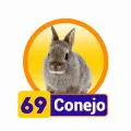 2025-08-06 12:00 69 Conejo