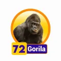 2025-03-16 10:00 72 Gorila