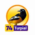 Resultado 74 Turpial de Condor Gana el 2026-08-04 a las 15:00