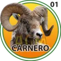 2025-06-13 19:30 1 Carnero