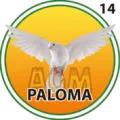 2025-06-13 11:30 14 Paloma