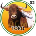 2025-07-29 18:30 2 Toro