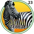 2025-07-20 09:30 23 Cebra