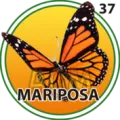 2025-06-13 17:30 37 Mariposa