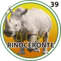 2025-04-17 20:30 39 Rinoceronte
