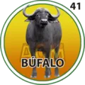 2025-09-12 18:30 41 Búfalo