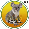 2025-06-13 13:30 43 Koala