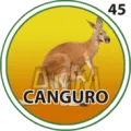 2025-06-17 09:30 45 Canguro