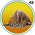 2026-03-07 20:30 48 Morsa