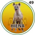 2026-04-27 10:30 49 Hiena