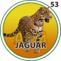 2025-07-29 17:30 53 Jaguar