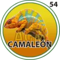 2025-07-20 12:30 54 Camaleón