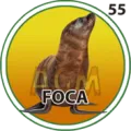 2025-03-16 09:30 55 Foca