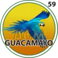 2025-12-12 09:30 59 Guacamayo