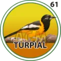 Resultado 61 Turpial de El Granjazo Granja Millonaria el 2026-07-27 a las 10:30