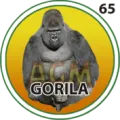 2025-03-16 12:30 65 Gorila