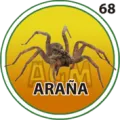 2025-12-13 12:30 68 Araña
