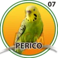2025-04-18 10:30 7 Perico