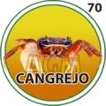 2026-01-27 16:30 70 Cangrejo