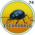 2026-01-26 19:30 74 Escarabajo
