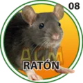 2025-03-16 10:30 8 Ratón