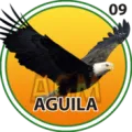 2025-04-17 16:30 9 águila
