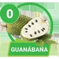2026-01-27 15:00 0 Guanabana