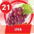 Resultado 21 Uva de Fruita Gana el 2026-07-27 a las 16:00