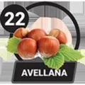 2025-07-29 16:00 22 Avellana
