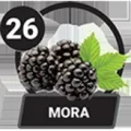 2025-07-29 10:00 26 Mora